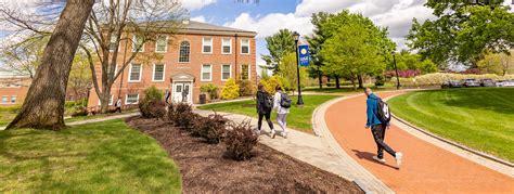 western new england university jobs